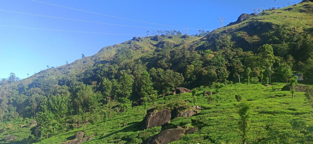 Tea Dale - All Rooms With Tea Estate View Munnar Dış mekan fotoğraf