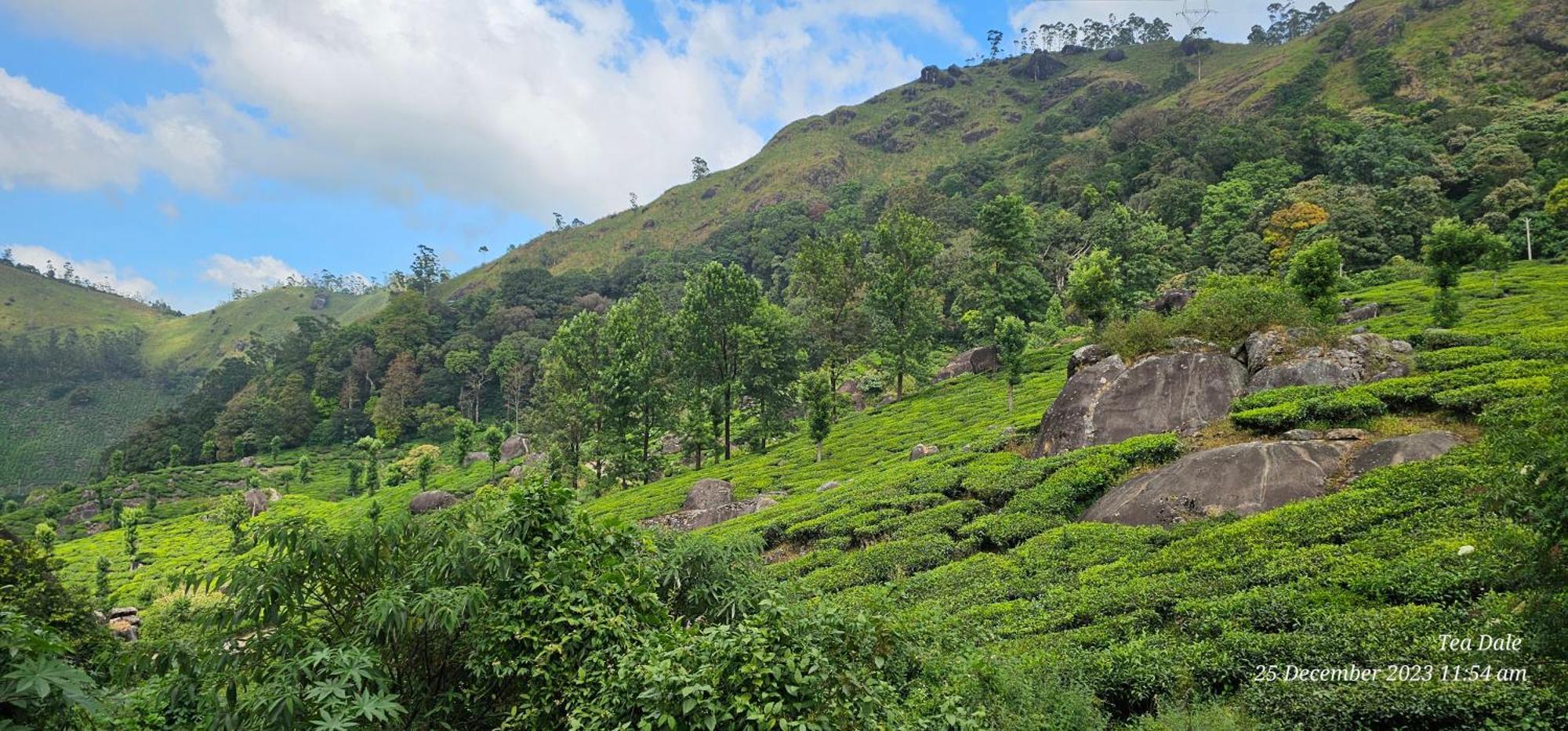 Tea Dale - All Rooms With Tea Estate View Munnar Dış mekan fotoğraf