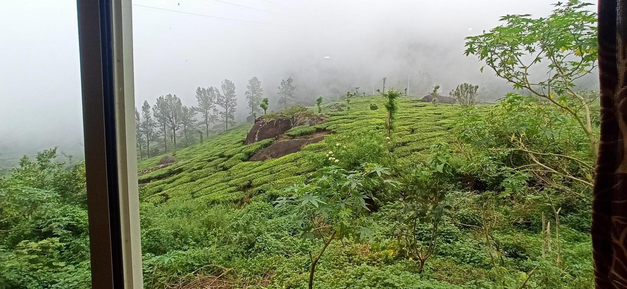 Tea Dale - All Rooms With Tea Estate View Munnar Dış mekan fotoğraf