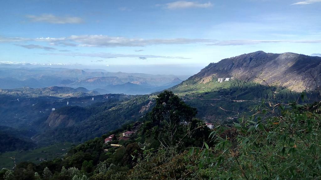 Tea Dale - All Rooms With Tea Estate View Munnar Dış mekan fotoğraf