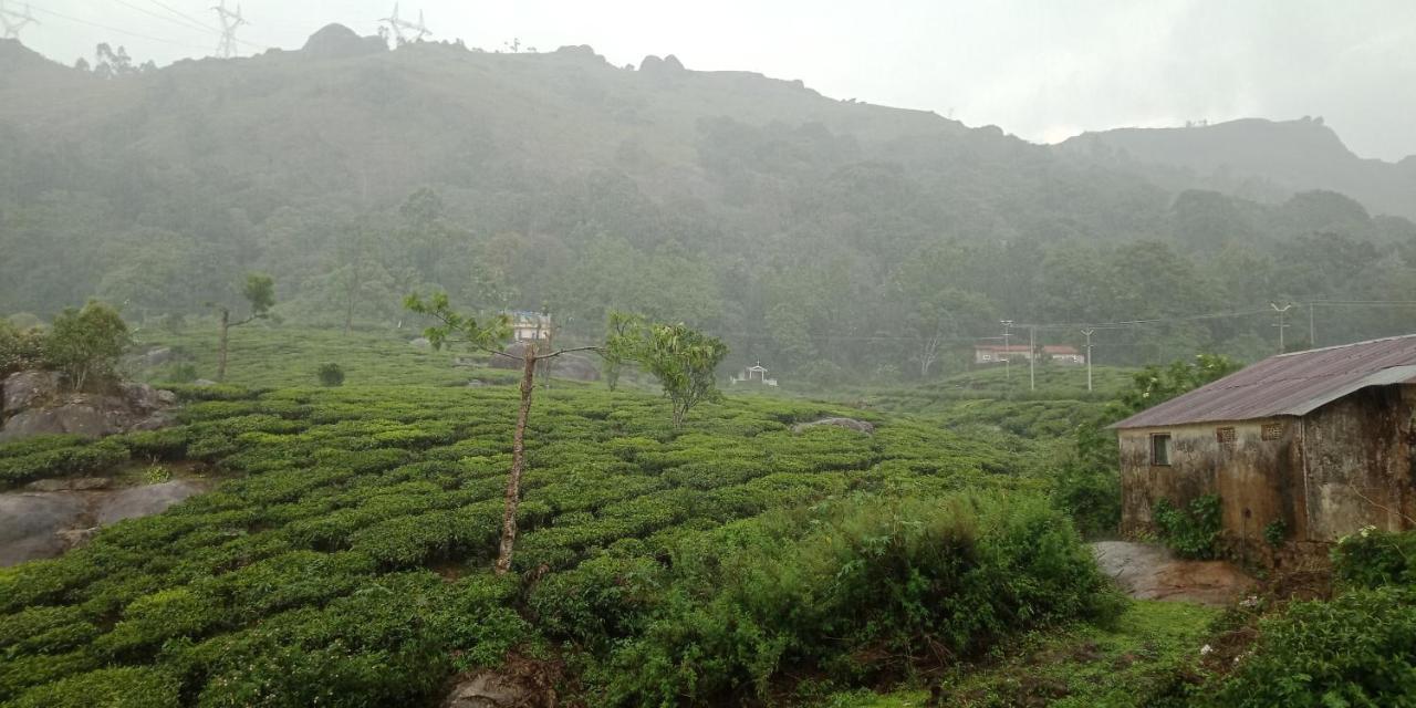 Tea Dale - All Rooms With Tea Estate View Munnar Dış mekan fotoğraf