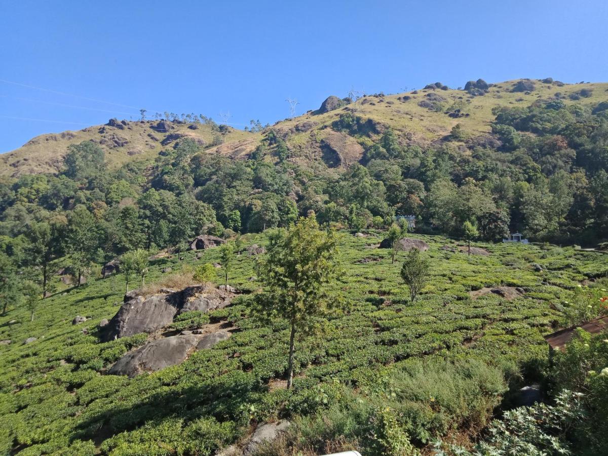Tea Dale - All Rooms With Tea Estate View Munnar Dış mekan fotoğraf