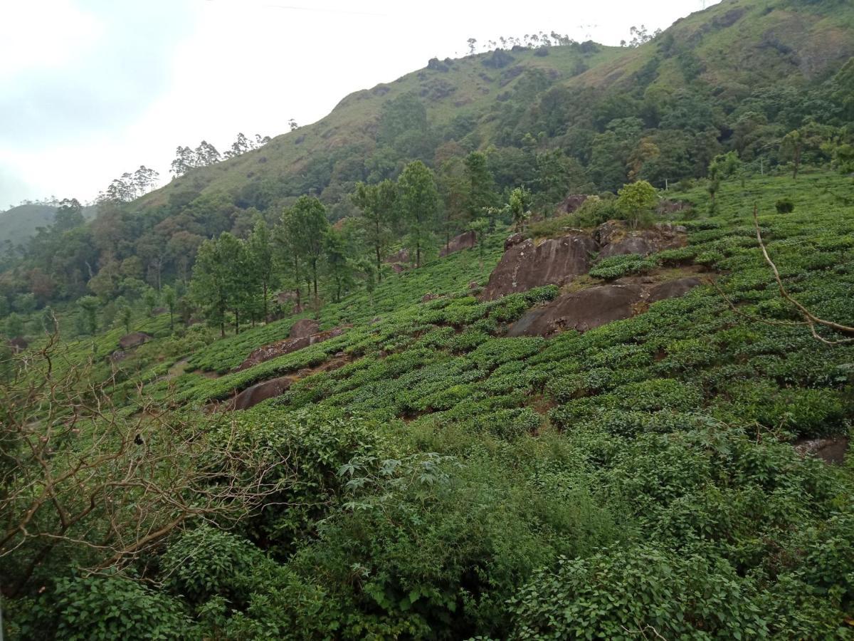 Tea Dale - All Rooms With Tea Estate View Munnar Dış mekan fotoğraf