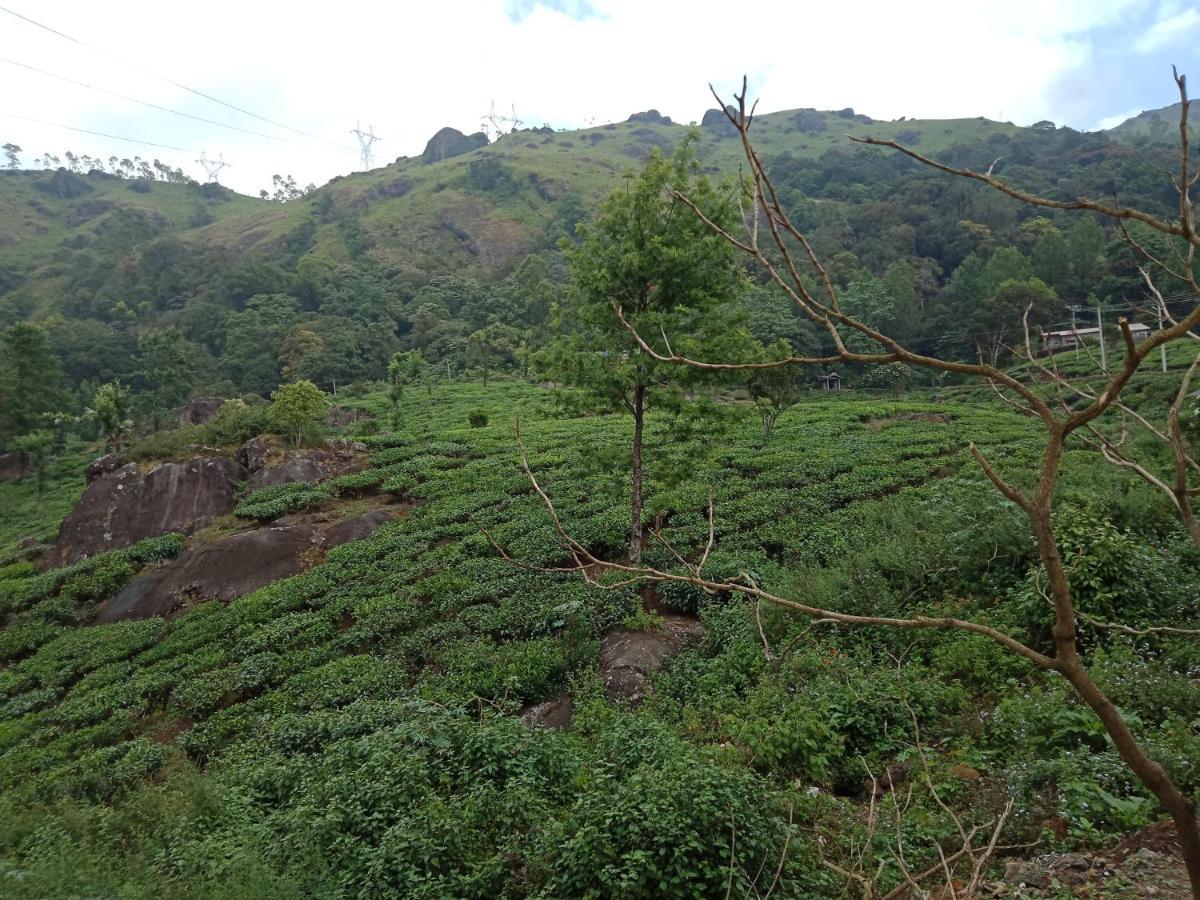 Tea Dale - All Rooms With Tea Estate View Munnar Dış mekan fotoğraf